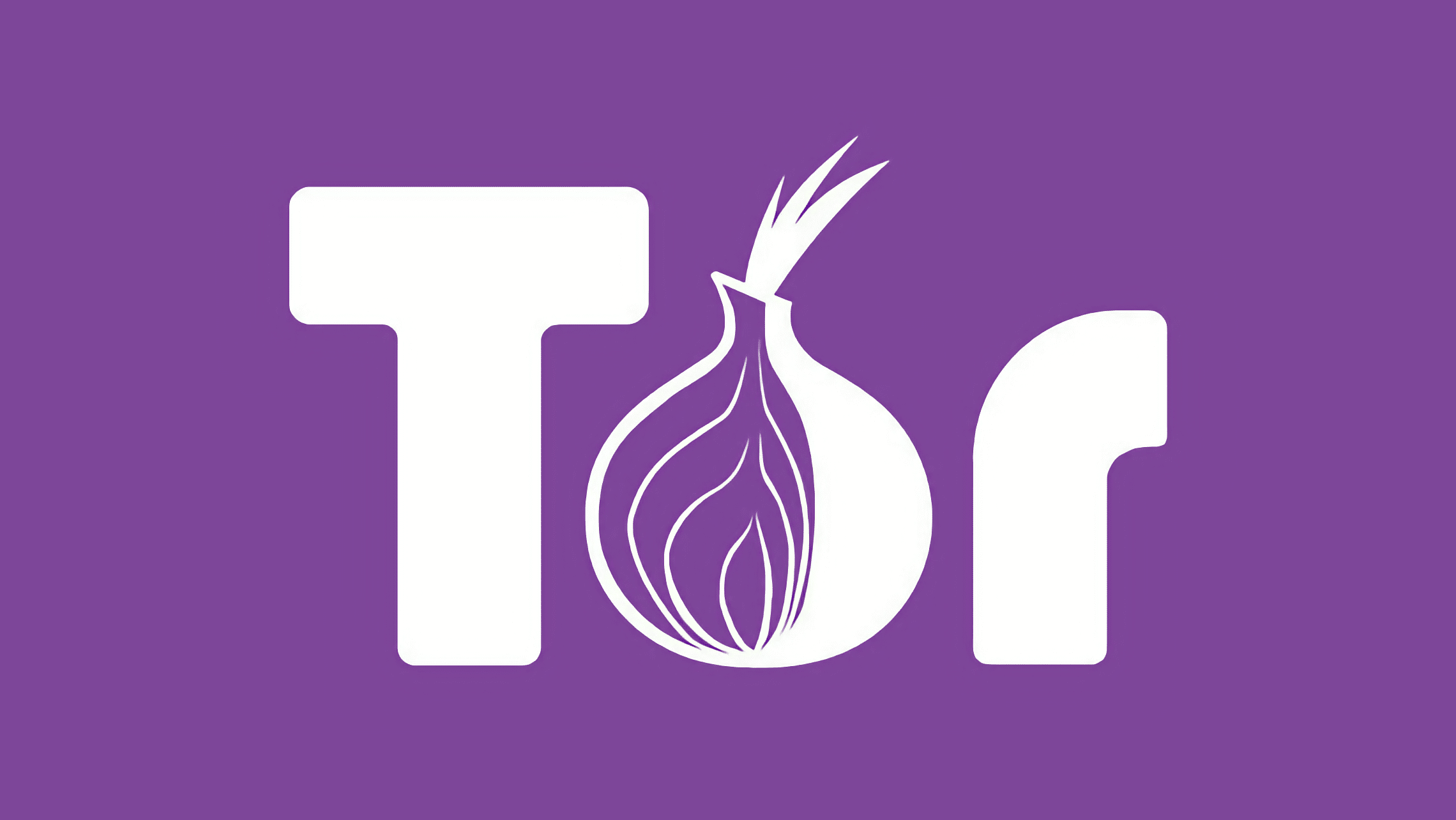 tor browser logo