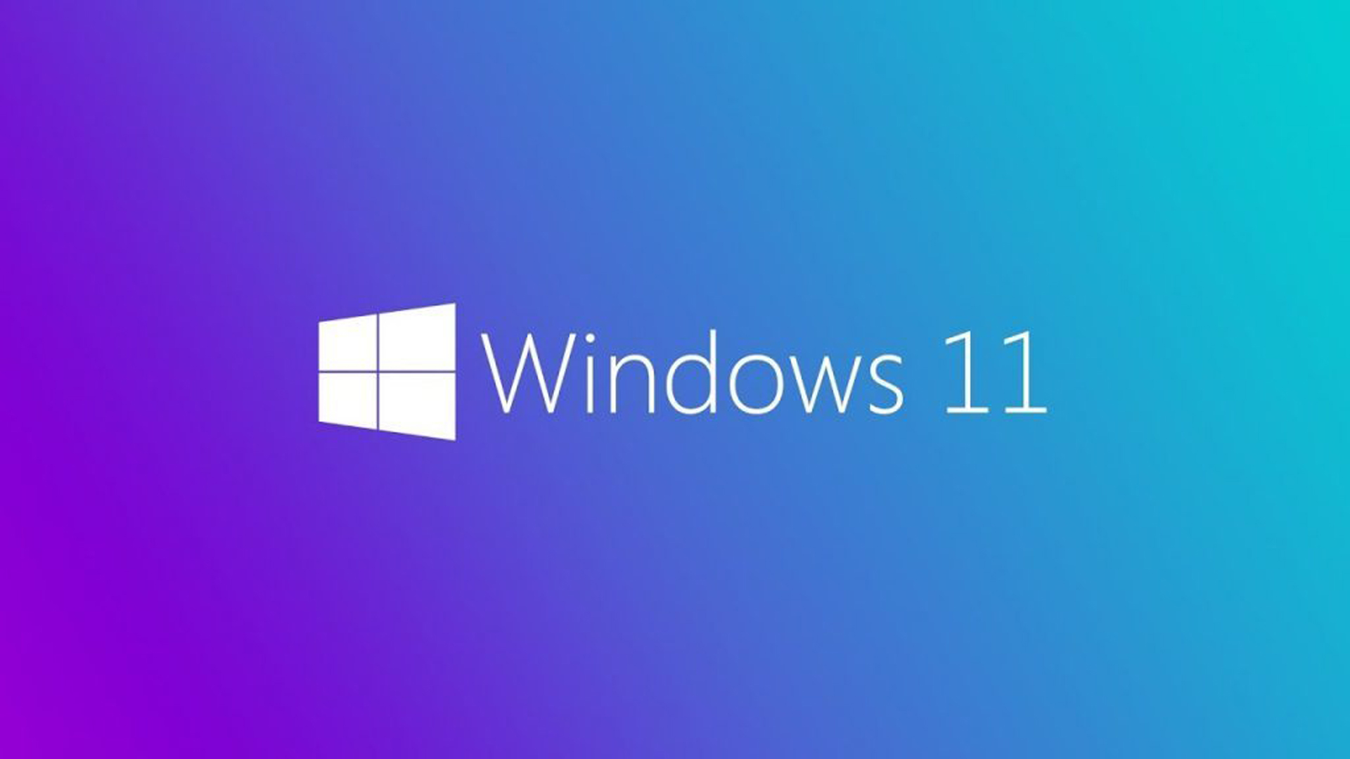 windows 11 logo