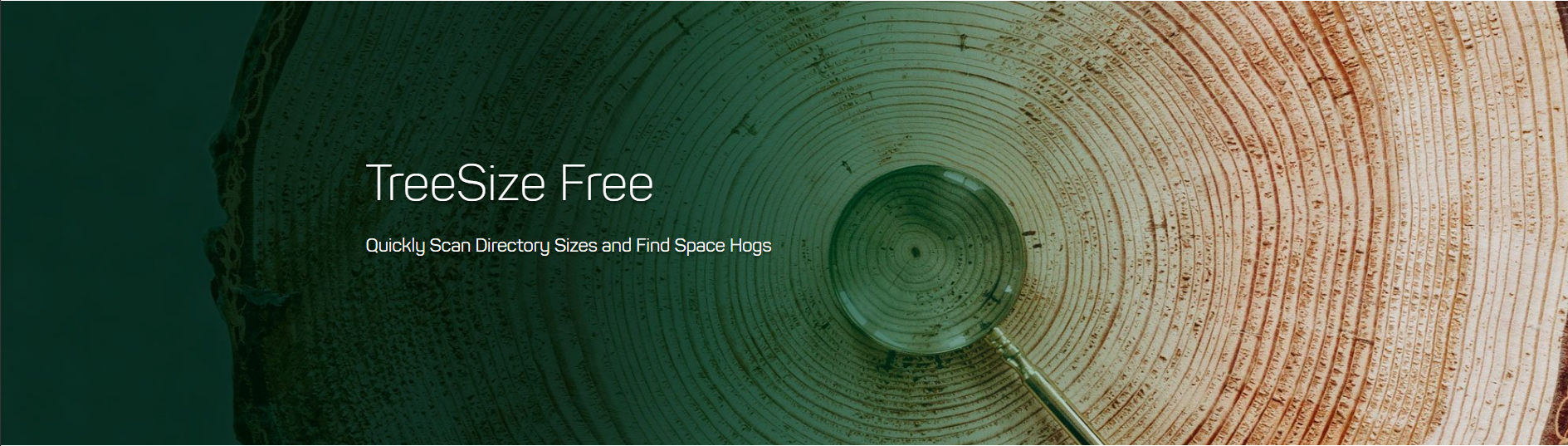 treesize