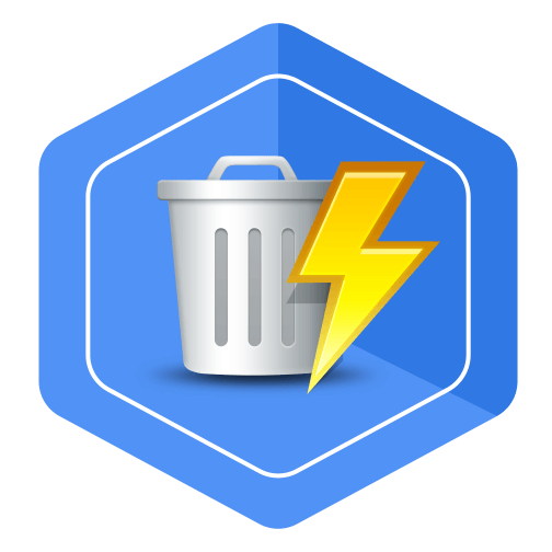 Wise Force Deleter Logo